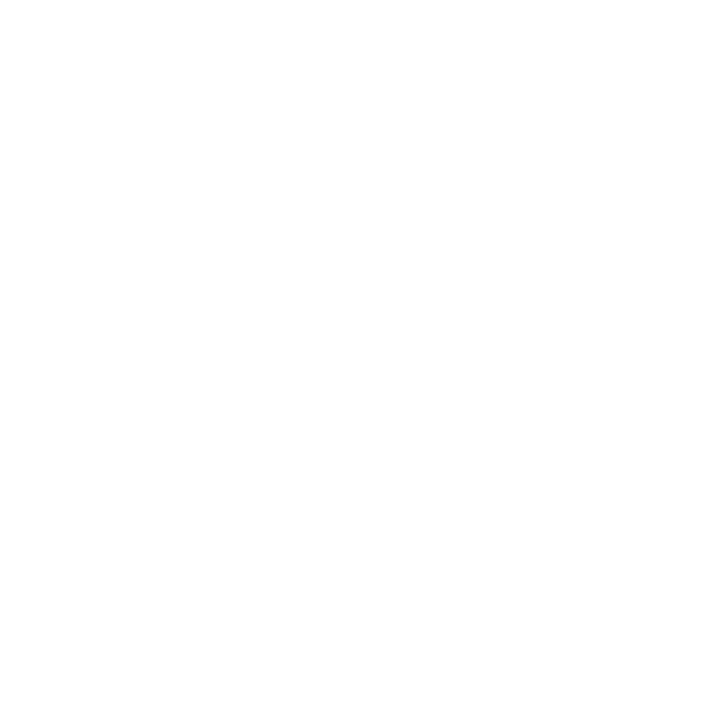 ALXVNDR Logo